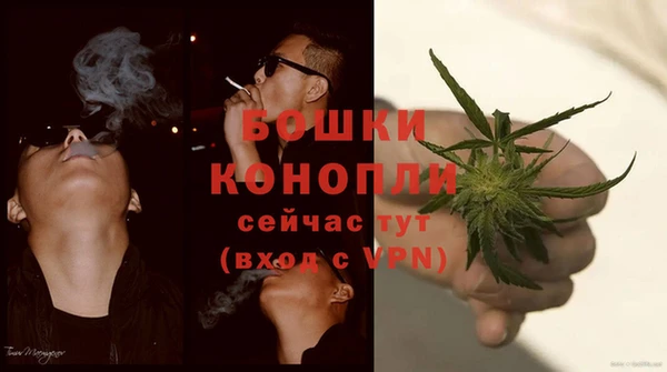 винт Аркадак