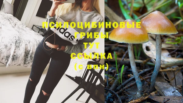 кокаин Арсеньев