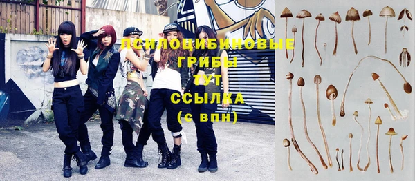 винт Аркадак