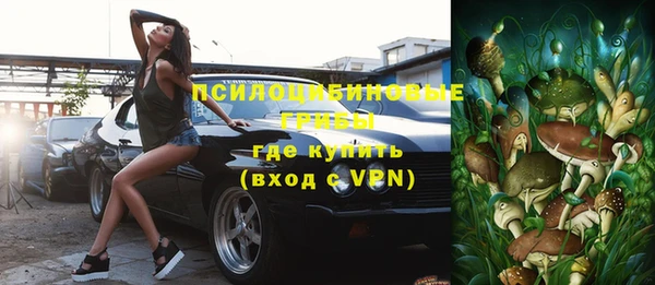 винт Аркадак