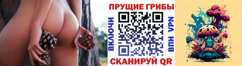 цены Почеп Псилоцибиновые грибы MAGIC MUSHROOMS